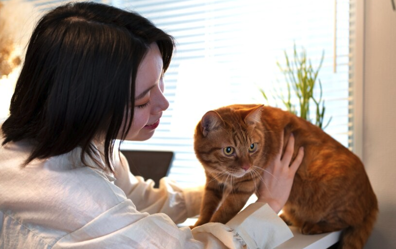 Cat Adoption - PawrPose